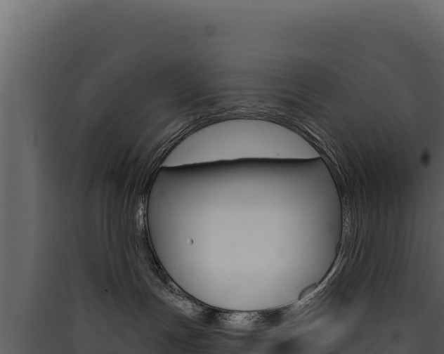 X0000090440191200707131038
