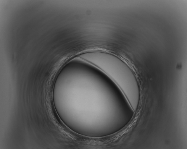 X0000090440193200707131038