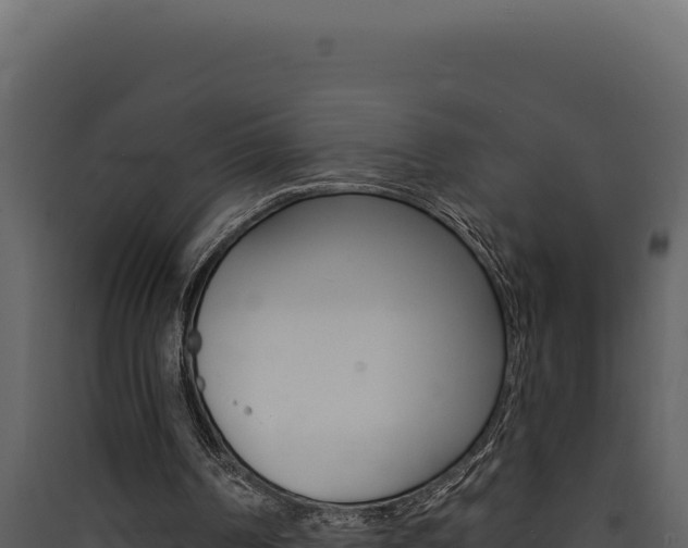 X0000090440194200707131038