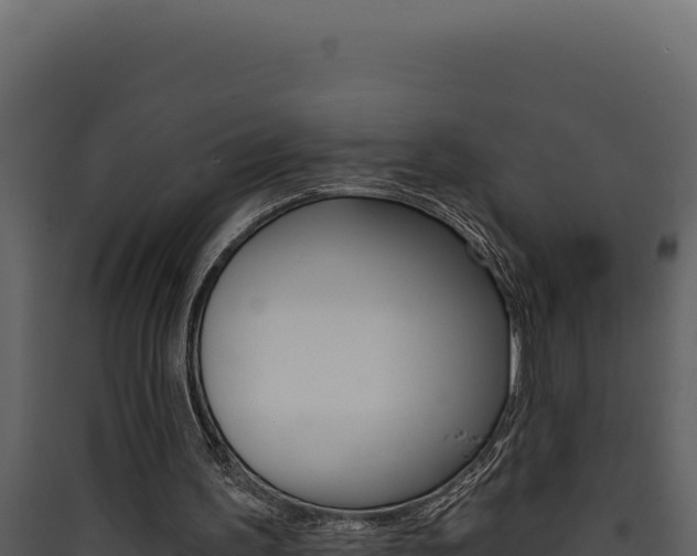 X0000090440195200707131038