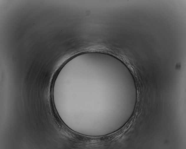 X0000090440196200707131038