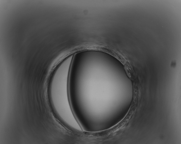 X0000090440197200707131038