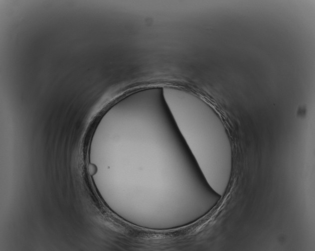 X0000090440198200707131038