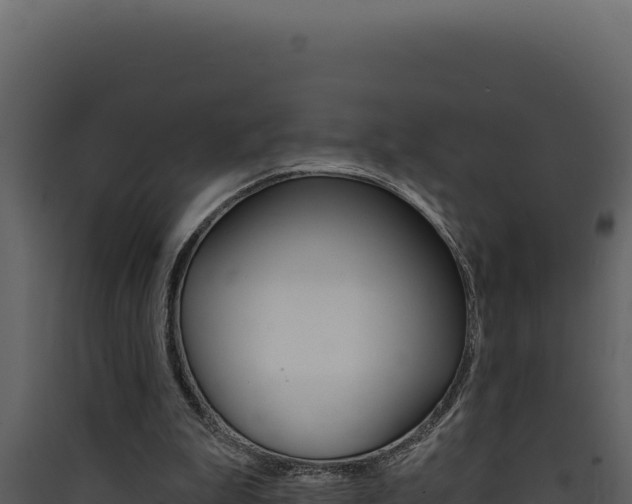 X0000090440199200707131038