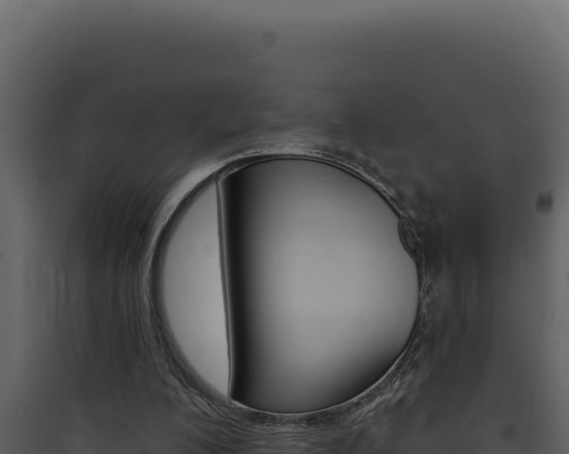 X0000090440200200707131038
