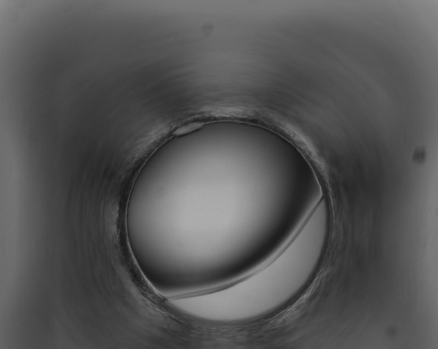 X0000090440201200707131038
