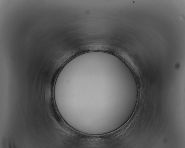 X0000090440202200707131038