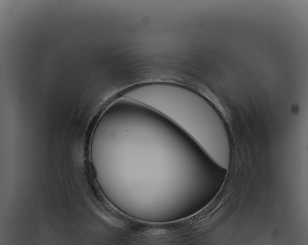 X0000090440203200707131038