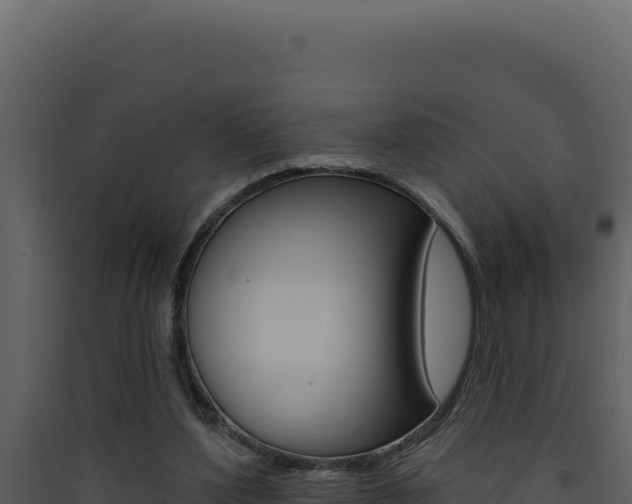 X0000090440204200707131038