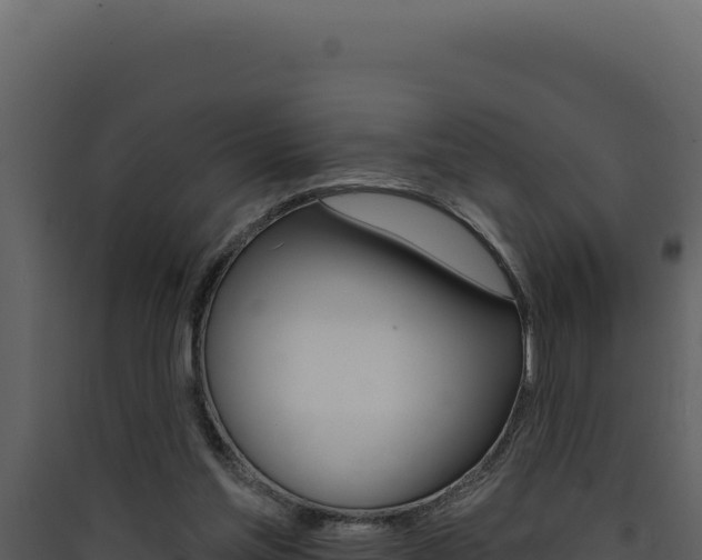 X0000090440205200707131038