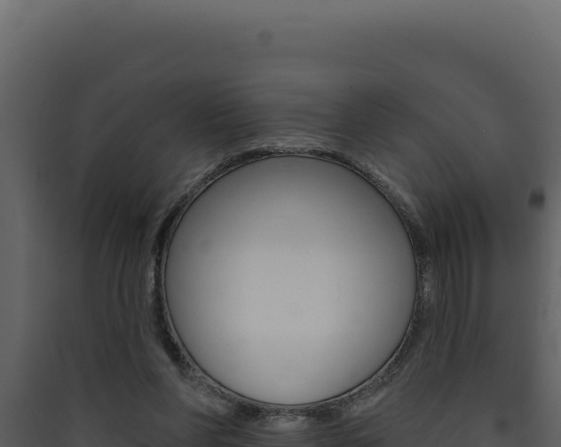 X0000090440206200707131037