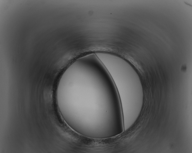 X0000090440207200707131037
