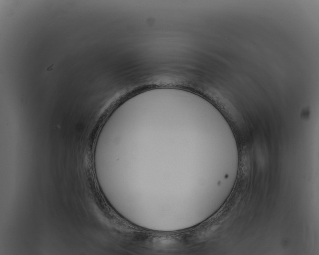 X0000090440208200707131037