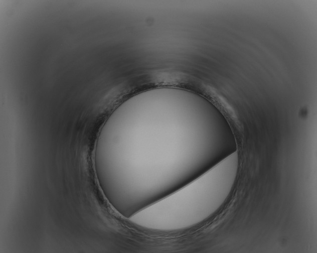 X0000090440209200707131037