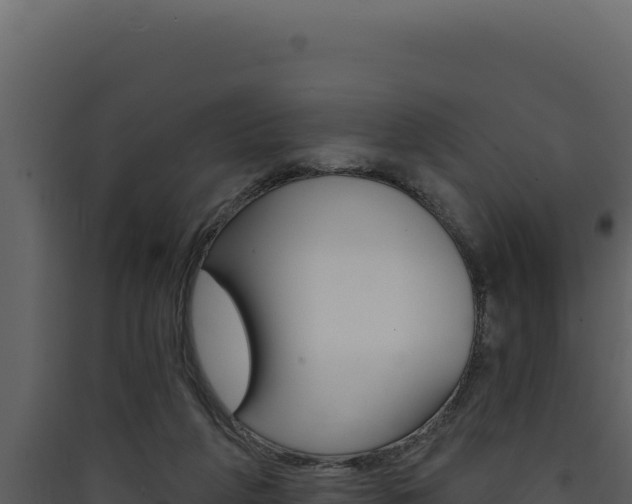 X0000090440210200707131037