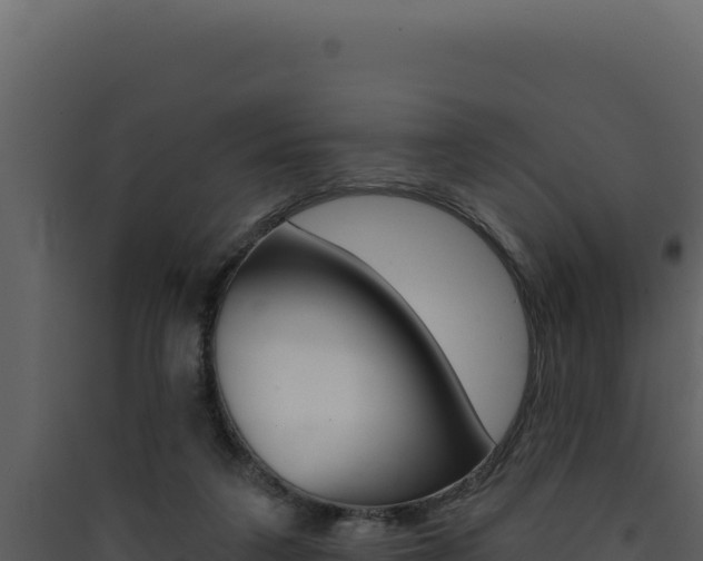 X0000090440211200707131037