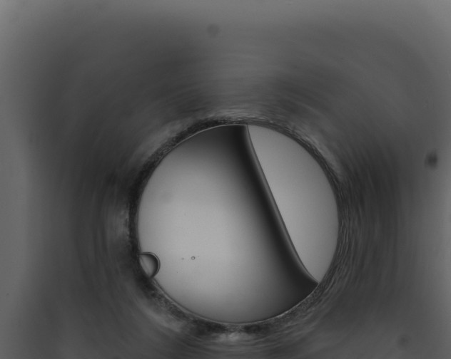 X0000090440212200707131037