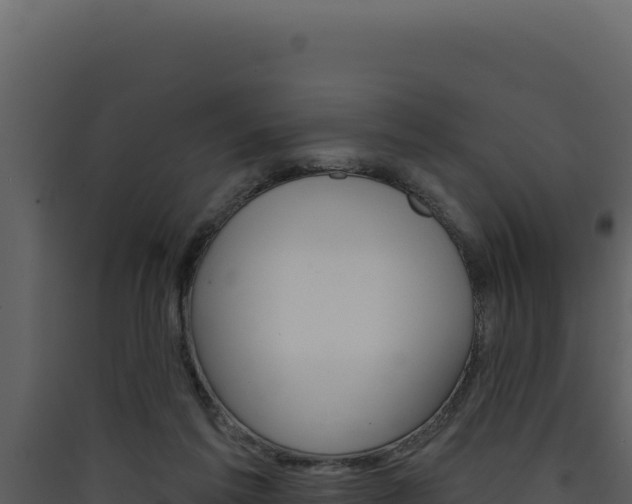 X0000090440213200707131037
