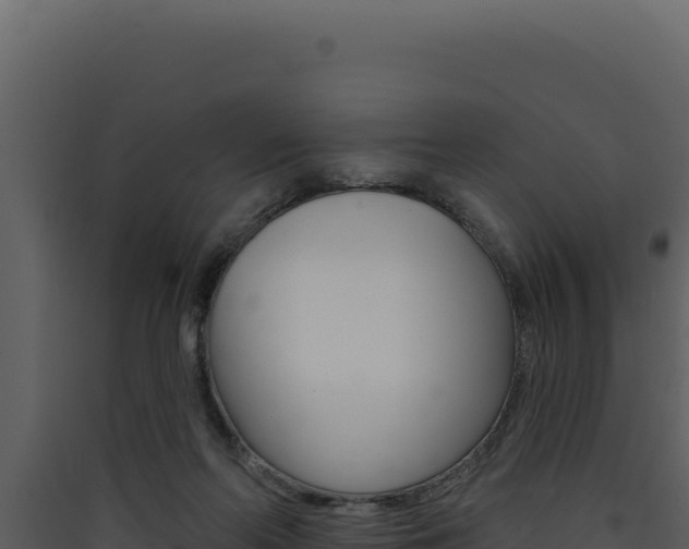 X0000090440214200707131037