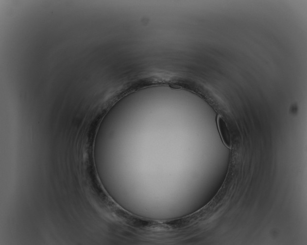 X0000090440215200707131037