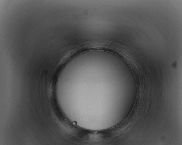 X0000090440216200707131037