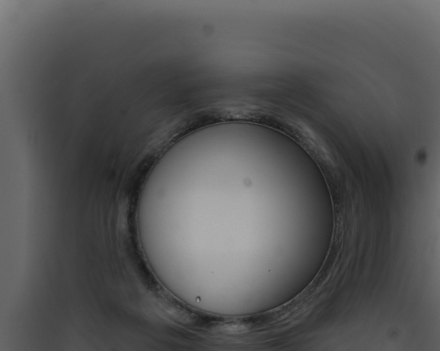 X0000090440217200707131037
