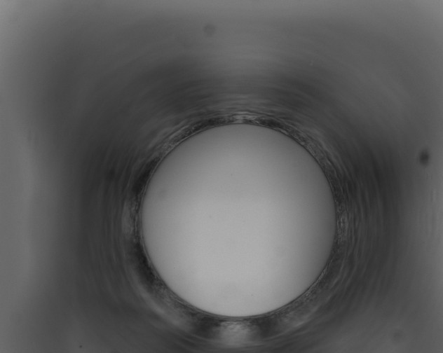 X0000090440218200707131037