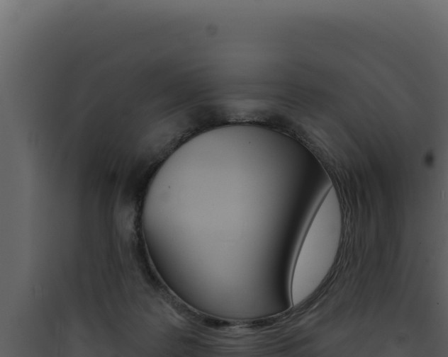 X0000090440219200707131037