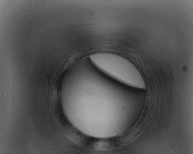 X0000090440220200707131037
