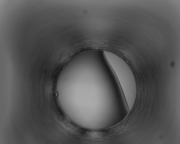 X0000090440221200707131037