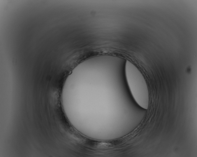 X0000090440222200707131037