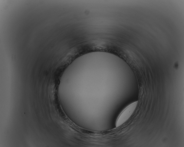 X0000090440223200707131037
