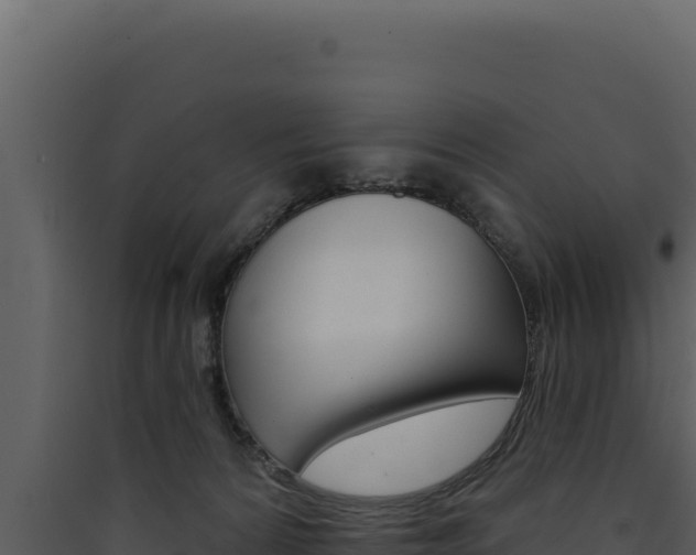 X0000090440224200707131037