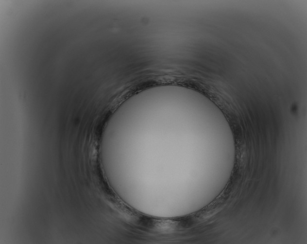 X0000090440226200707131037