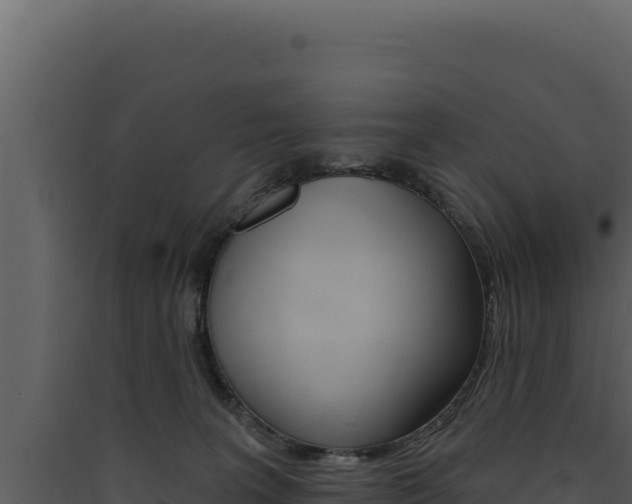 X0000090440227200707131037