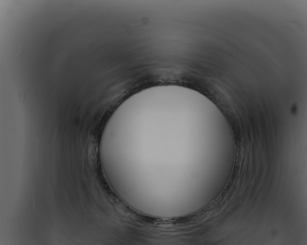 X0000090440228200707131037