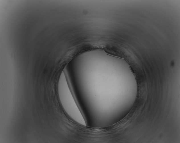 X0000090440229200707131037