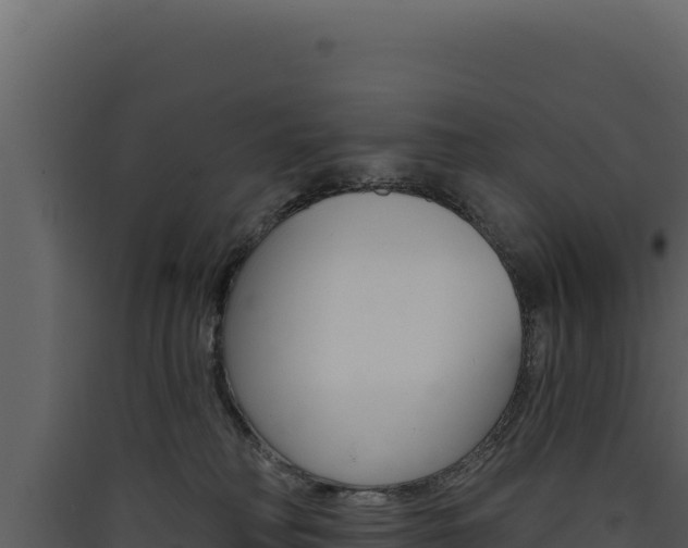 X0000090440230200707131037