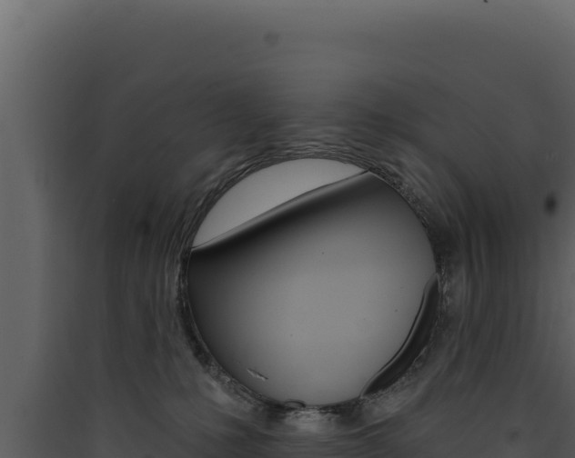X0000090440231200707131037