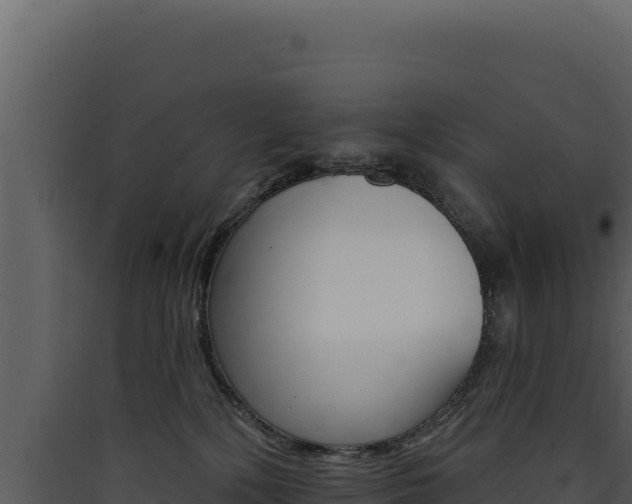 X0000090440232200707131037