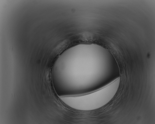 X0000090440233200707131037