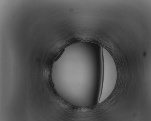 X0000090440235200707131037