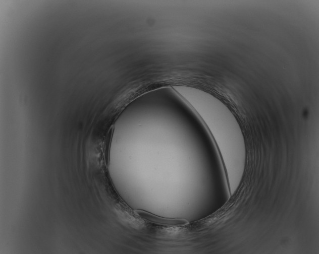 X0000090440237200707131037