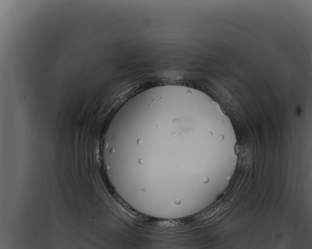 X0000090440238200707131037