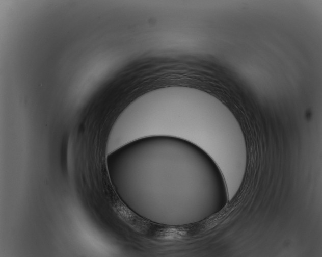 X0000090440239200707131037