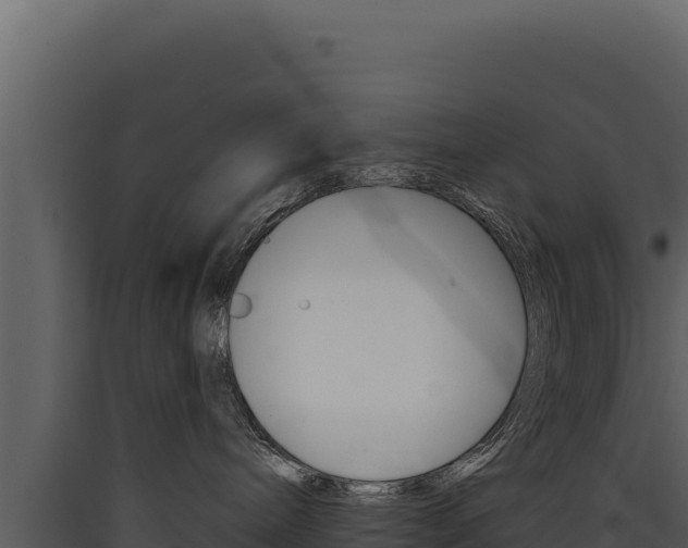 X0000090440240200707131037