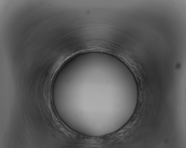 X0000090440241200707131036