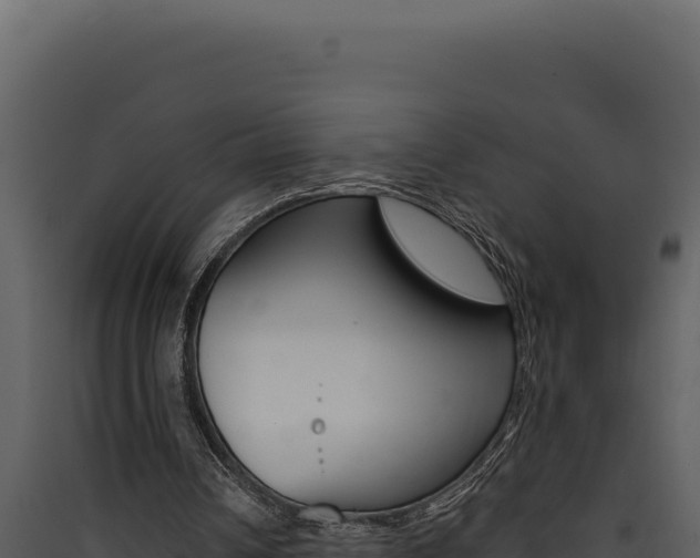 X0000090440242200707131036