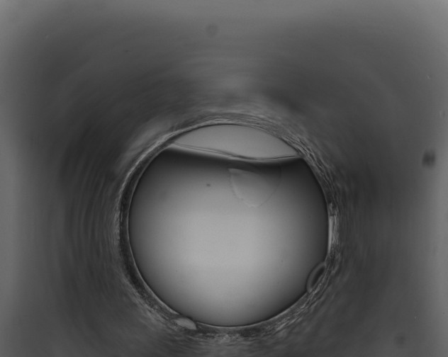 X0000090440243200707131036