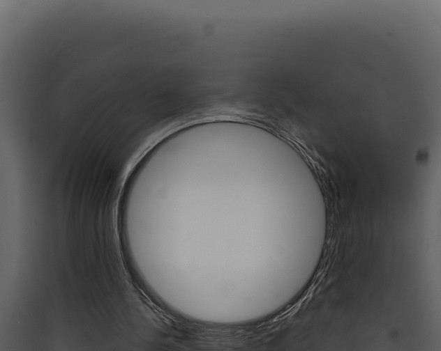 X0000090440244200707131037